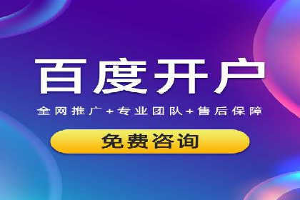 电商平台信息流广告的投放策略与效果评估案例